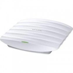 Ceiling Access Point