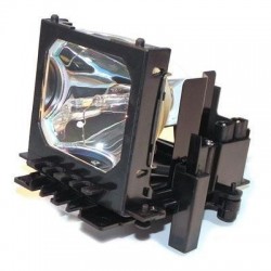 Replacement Projector Lamp