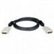 25' Dual Link DVI Cable